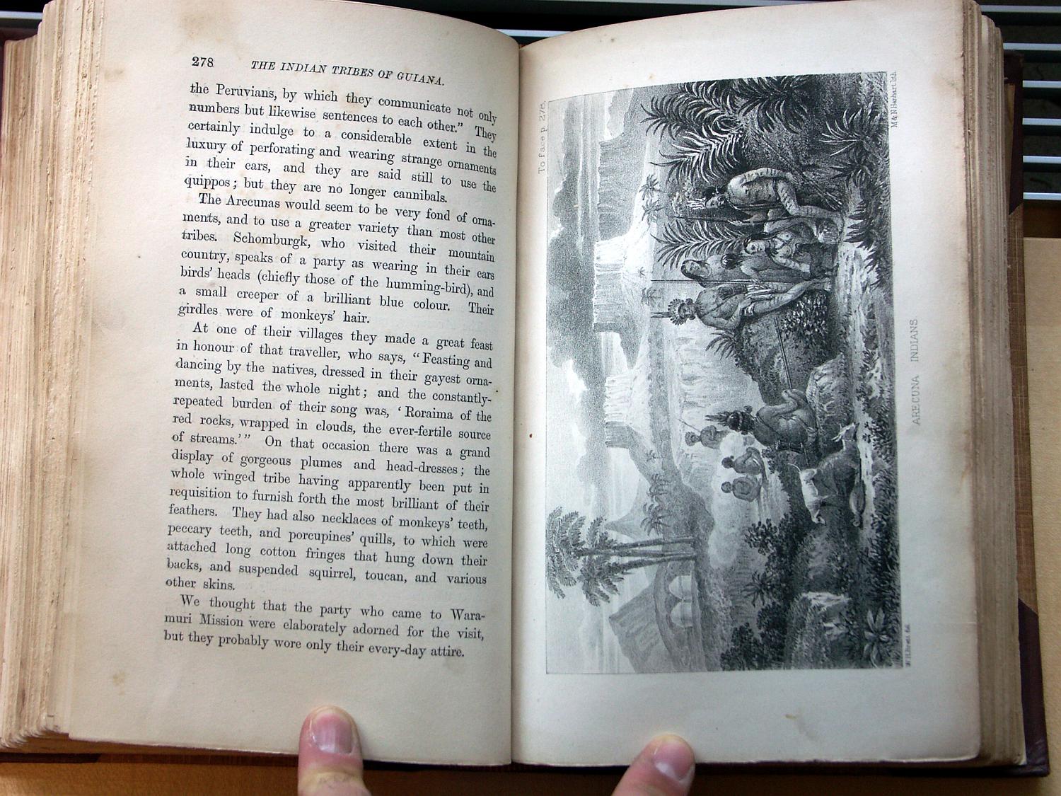 zz-bret68,s.278 arecuna,tanzkostüm